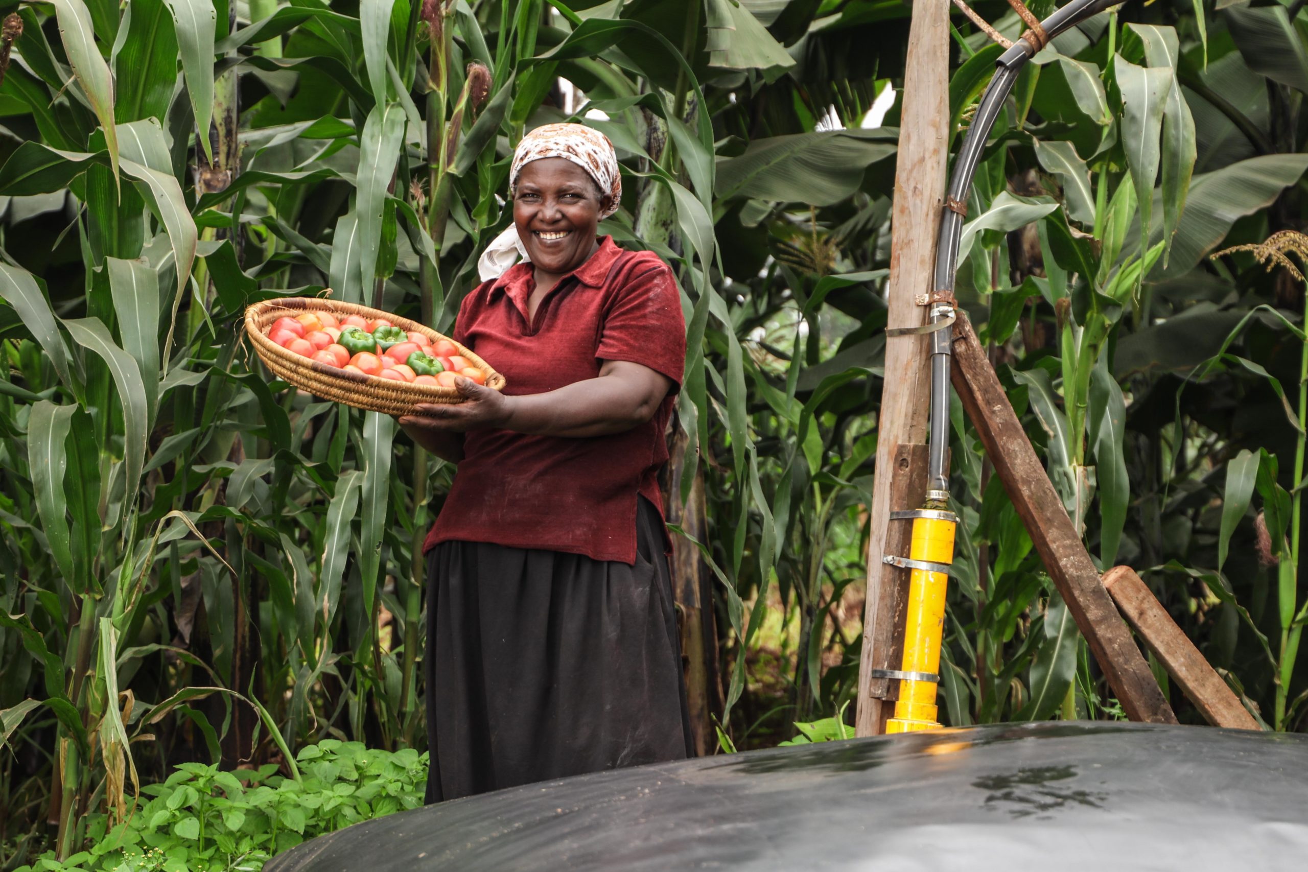 A Clean and Healthy Environment is a Human Right, but We Cannot Ensure it Without Changing the Way People Cook