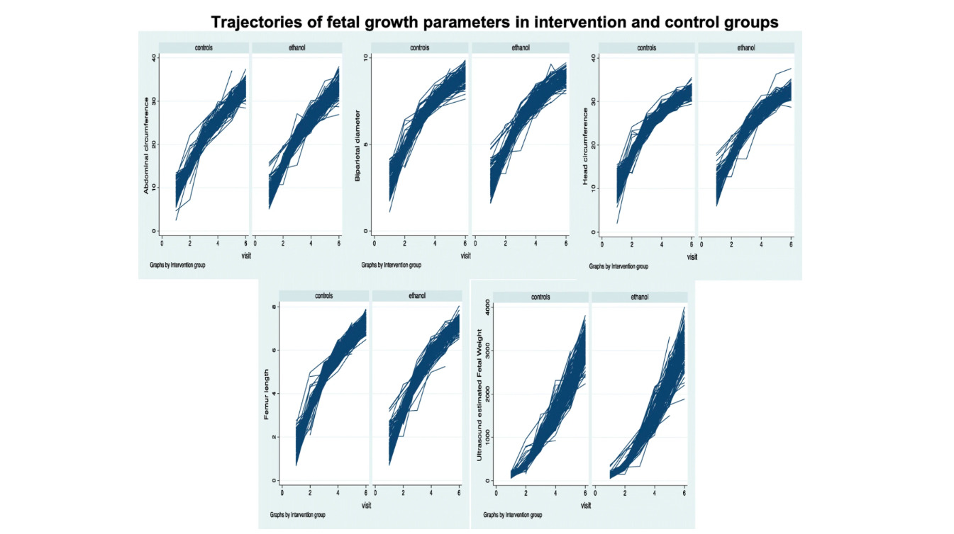 Household air pollution, ultrasound measurement, fetal biometric parameters and intrauterine growth restriction